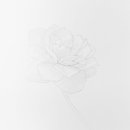 드로잉(소묘) & 스케치 이미지