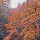 위드클리닝 이미지