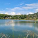 산삼고을 이미지