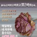 천사플라워 이미지