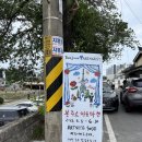 대전 아트사이트 소제 '봉주르아트마켓' 방문 후기, 예술과 취향이 만나는 특별한 주말, 대전 소제동 가...