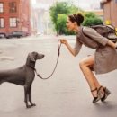 살랑살랑 이미지