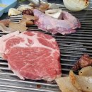 마포소금구이 티스토리