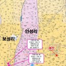 안성리-2 Daum카페