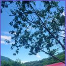 숲과 개울 펜션 이미지