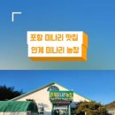 안계미나리농장 이미지