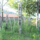 잠곡초등학교 이미지