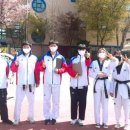 큰나무태권도장 이미지