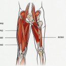당미그린상가 이미지