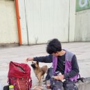 익산군산축협동물병원 이미지