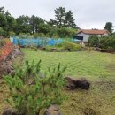 애월화실 이미지