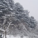 하늘계곡캠핑장 이미지