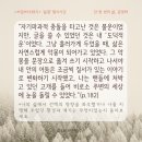 삶 | <단 한 번의 삶, 김영하> 후기