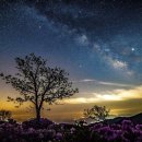 황매산국민여가캠핑장 이미지