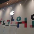 가림막 내린 강남 가로수길 애플스토어 첫 공개 이미지