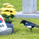 에프에프모텔 이미지