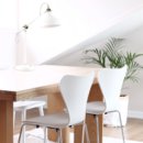 펫테이블 이미지