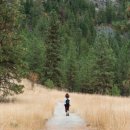 바람결-시간의 흐름 이미지