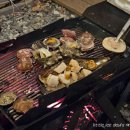 댕댕러브펫 이미지