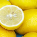 이뮨케어 이미지