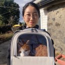 한수풀동물병원 이미지