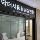 닥터서동물심장병원 이미지