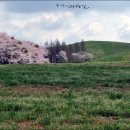 동화목장 이미지