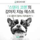 코랜 이미지