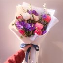 후리지아 이미지