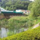 대공원광장대로 이미지