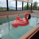 춘천풀빌라 테라테하우스 | 춘천 풀빌라 스위밍스파펜션,테라테하우스