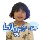 하모리-41 네이버블로그