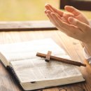 (주)지혜로운세상 이미지