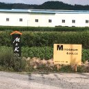 엠엔케이(M&K)