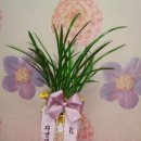 디엔테크 이미지