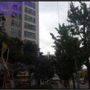 덕진-107 이미지