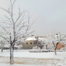 詩가 된 풍경 이미지