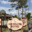 용인근교 / 고기리카페 / 아이스크림 맛집 /고기리 피크닉봉봉 가격 맛 주차 후기