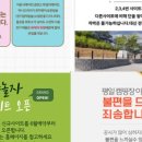 바다야놀자 이미지