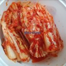 인어아저씨회랑굴이랑