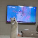 윈게임pc방 이미지