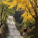 향로농장 이미지