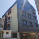 제주 246 이미지