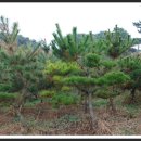 철우농장 이미지