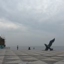 오서산자연휴양림 | 충남 보령 1박2일 커플여행 🚗(대천스카이바이크, 현지인맛집, 오서산 자연휴양림 여행 후기)