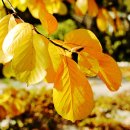 한마당학원 이미지