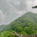 예치민박 이미지