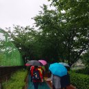 빗속의 황룡산과 고봉산 이어걷기^^ 이미지