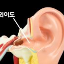 더힐이비인후과의원 이미지