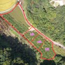 쏠라파워텍 이미지